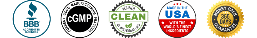Yerba Complex guarantee and benefits