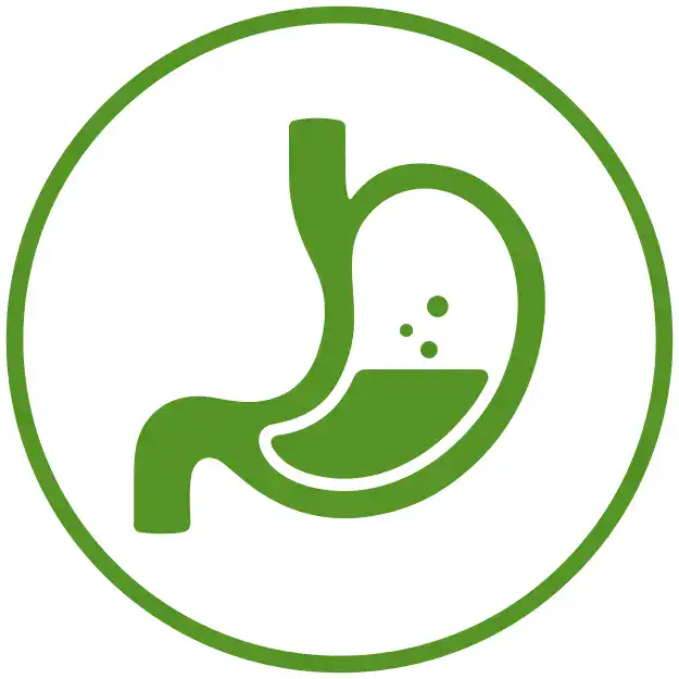Gut health icon